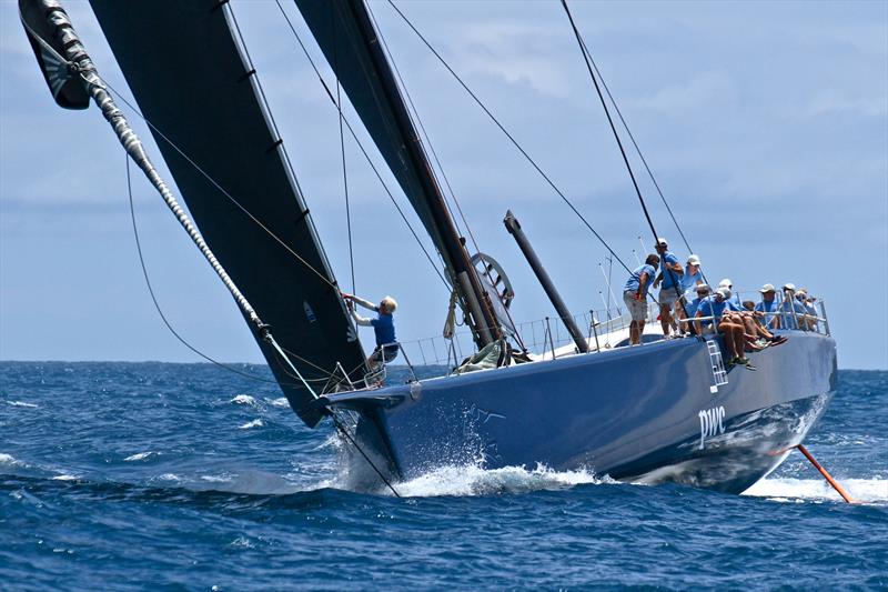 Sea Leopard competing in Bermuda, June 2017 photo copyright Richard Gladwell taken at Royal Bermuda Yacht Club and featuring the Maxi class