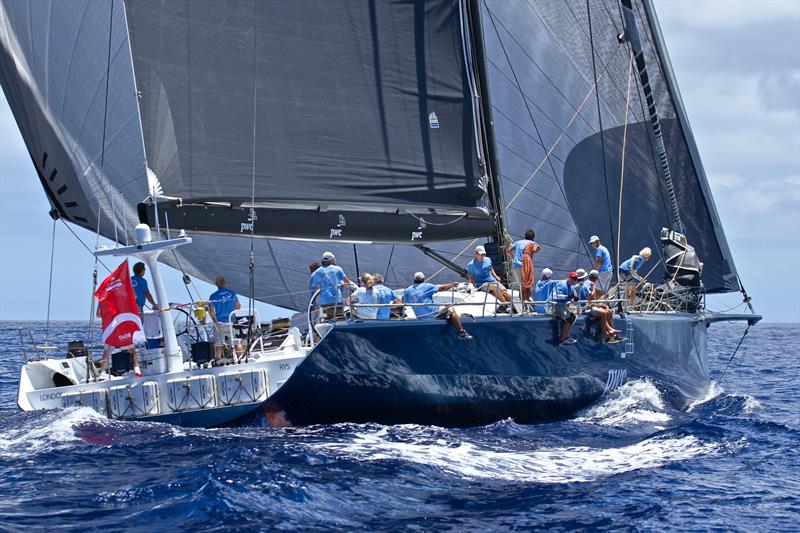 Sea Leopard competing in Bermuda, June 2017 photo copyright Richard Gladwell taken at Royal Bermuda Yacht Club and featuring the Maxi class