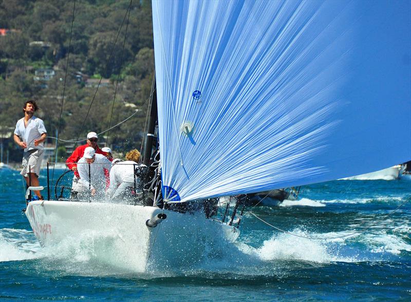 Ginger on day 2 of MC38 2016/17 Summer Series Championship Act 1 photo copyright Stephen Collopy taken at Royal Prince Alfred Yacht Club and featuring the MC38 class
