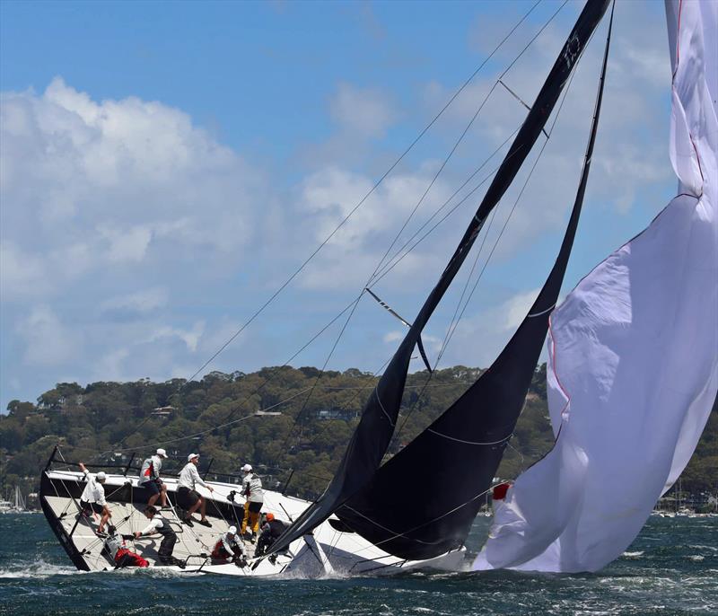 Thor spills in gusty conditions during MC38 2022 Season Act 1 on Pittwater photo copyright Rob McClelland taken at Royal Prince Alfred Yacht Club and featuring the MC38 class
