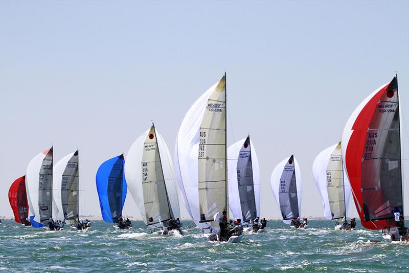 Fleet under spinnaker Race 6 on day 3 of the Gill Melges 24 World Championships at Geelong photo copyright Teri Dodds taken at Royal Geelong Yacht Club and featuring the Melges 24 class