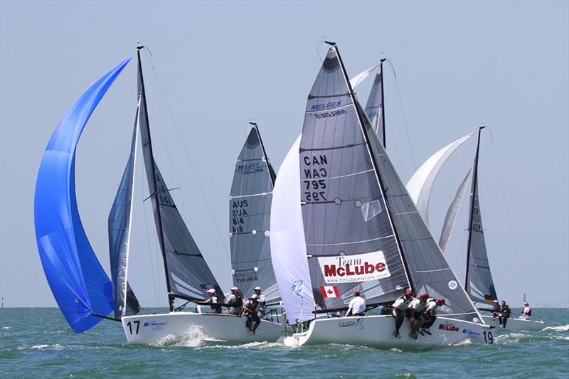 STAR (Bow 17 - Harry Melges) and Cavallino / McLube (Chris Larson) on day 3 of the Gill Melges 24 World Championships at Geelong photo copyright Teri Dodds taken at Royal Geelong Yacht Club and featuring the Melges 24 class