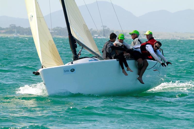 First Melges 24 Cavallino on day 4 of the Festival of Sails - photo © Teri Dodds