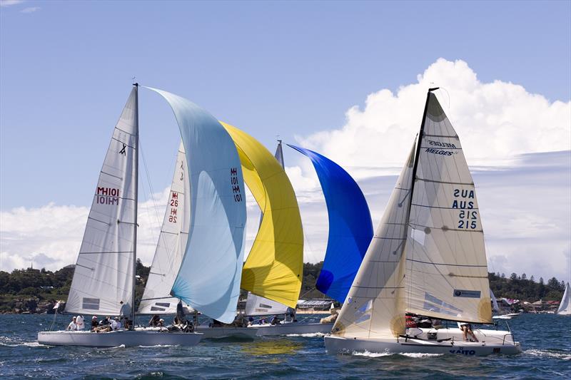 All set for the Sydney Harbour Regatta photo copyright Andrea Francolini taken at Middle Harbour Yacht Club and featuring the Melges 24 class