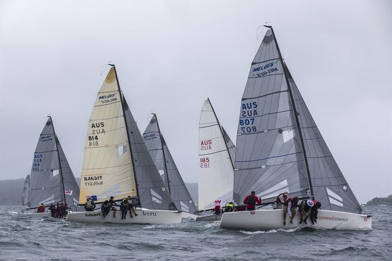 Melges 24 start line on day 1 of the Sydney Harbour Regatta photo copyright Andrea Francolini / MHYC taken at Middle Harbour Yacht Club and featuring the Melges 24 class