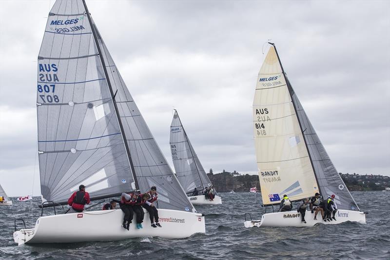 Accrewed Interest in the foreground at the Sydney Harbour Regatta - photo © Andrea Francolini / MHYC