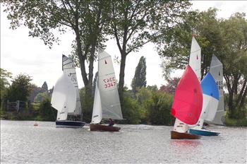 Merlins at Upper Thames