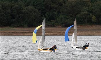 Merlins at Carsington