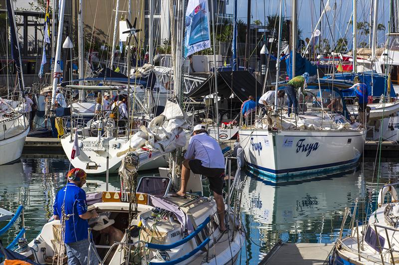 Dockside this morning at SeaLink Magnetic Island Race Week 2016 photo copyright Andrea Francolini taken at Townsville Yacht Club
