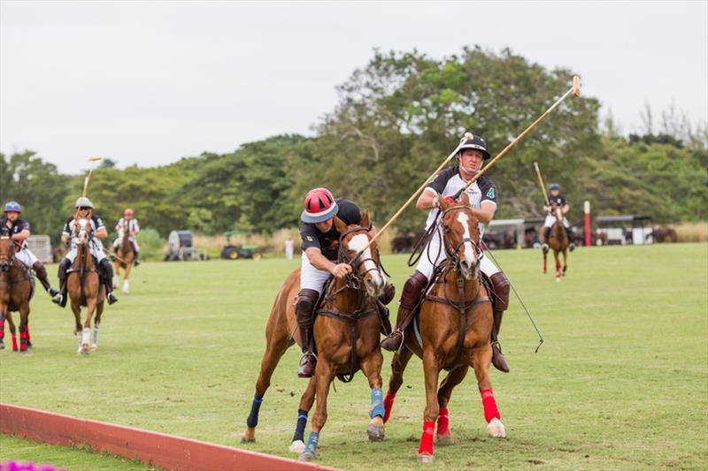 Lay day polo match at Holders, St James during the Mount Gay Round Barbados Series photo copyright Peter Marshall / MGRBR taken at Barbados Cruising Club