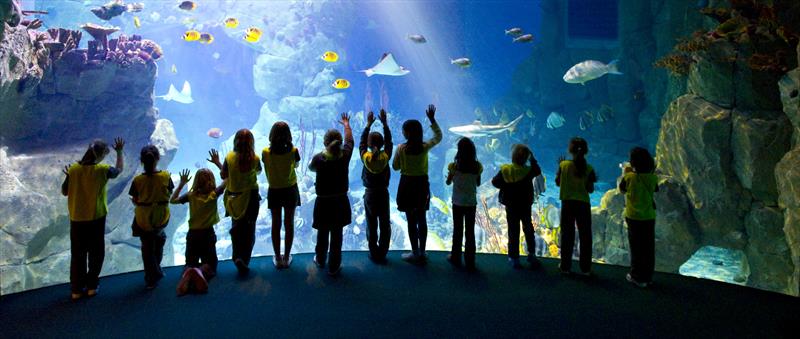The National Marine Aquarium in Plymouth will play a key role in the education programme associated with the Golden Globe Race photo copyright The National Marine Aquarium taken at 