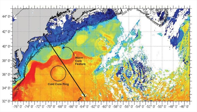 Figure 1: MARCH 9, 2016—Composite satellite SST image—warm-core and cold-core rings were evident, months before the race. - photo © rucool.marine.rutgers.edu