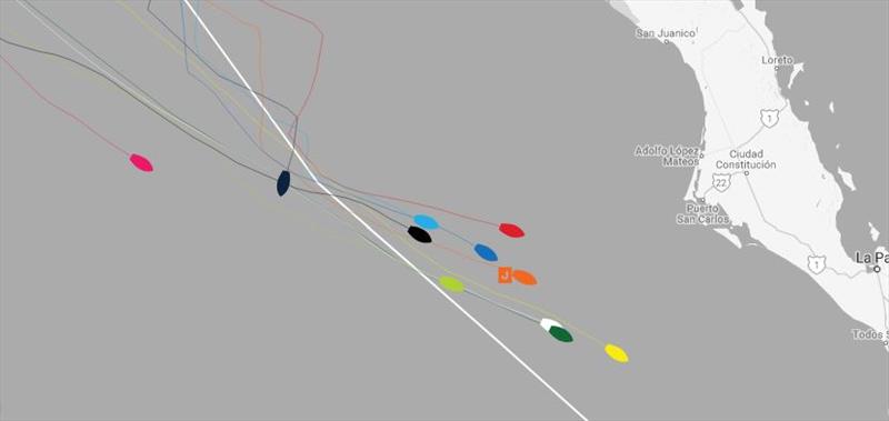 All positions correct at time of publishing – Clipper Round the World Yacht Race 10: The Garmin American Challenge to Panama, Day 9 - photo © Clipper Race