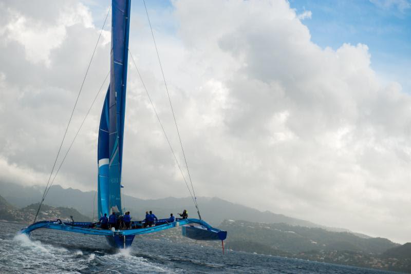 Tony Lawson's MOD70, Ms Barbados (Concise 10) Skippered, Ned Collier Wakefield comes into Port Louis, Grenada at the finish of the RORC Transatlantic Race from Marina Lanzarote photo copyright RORC / Orlando K. Romain taken at  and featuring the MOD70 class