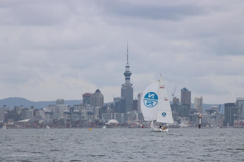 Jack Tar Auckland Regatta day 1 - photo © Andrew Delves