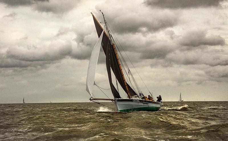 CK395 'Puritan' was top of the Slow Division - Mersea Week 2021 photo copyright Chrissie Westgate taken at West Mersea Yacht Club and featuring the Gaffers class