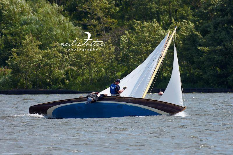 Wroxham Week 2023 - final day of racing photo copyright Neil Foster Photography taken at Norfolk Broads Yacht Club and featuring the Gaffers class