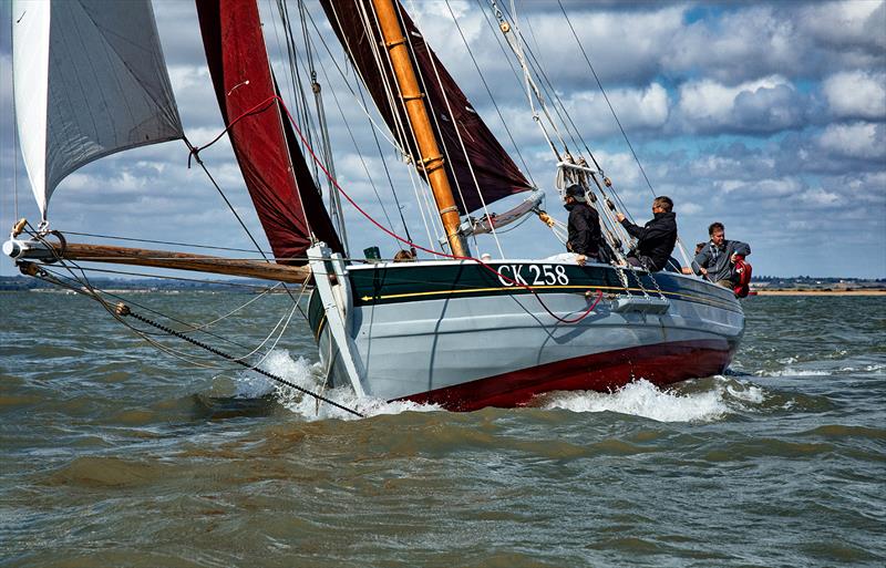 Essex Oyster smack CK258 Charlotte Ellen Mersea Week 2023 photo copyright Chrissie Westgate taken at West Mersea Yacht Club and featuring the Gaffers class