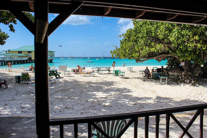 The 2017 OK Dinghy Worlds are being held in Barbados photo copyright Robert Deaves taken at Barbados Yacht Club and featuring the OK class