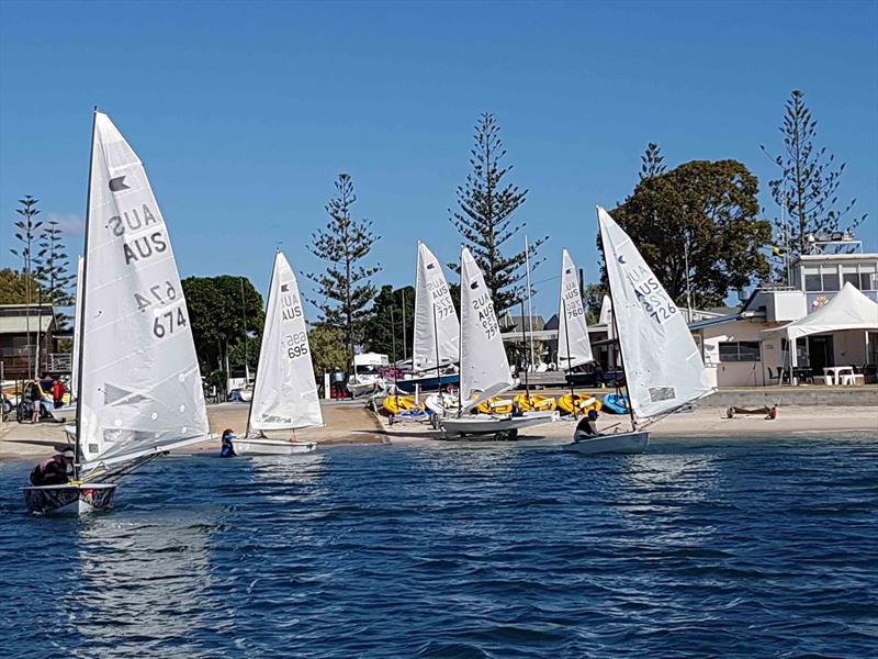 Queensland OK Dinghy State Championship fleet photo copyright Bronwen Hemmings taken at  and featuring the OK class
