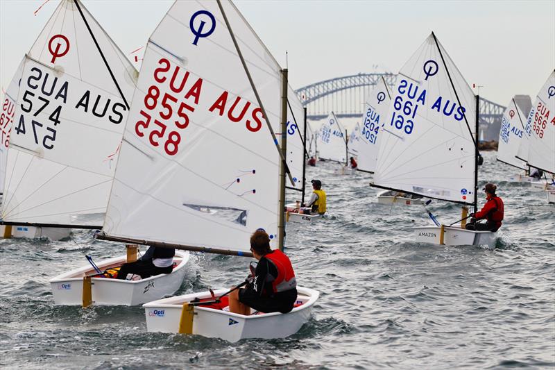 Sail Sydney Opti fleet photo copyright Craig Greenhill / Saltwater Images taken at Woollahra Sailing Club and featuring the Optimist class