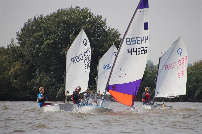 Modern dinghies at Oulton Week 2015 photo copyright Karen Langston taken at Waveney & Oulton Broad Yacht Club and featuring the Optimist class