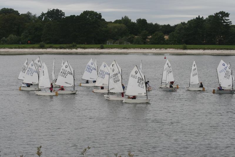 Midland Optimist Traveller Series concludes at Shustoke SC photo copyright Zoe Felton taken at Shustoke Sailing Club and featuring the Optimist class