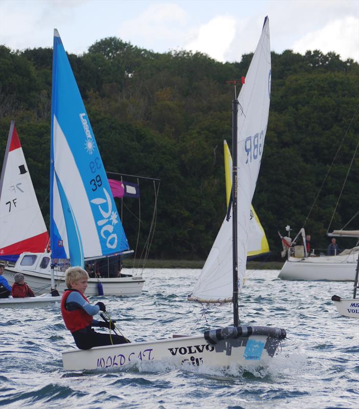 West Sussex Schools and Youth Sailing Association Regatta at Chichester Yacht Club photo copyright CYC taken at Chichester Yacht Club and featuring the Optimist class