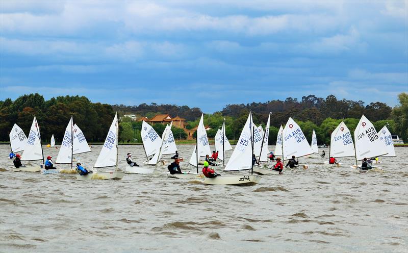 Capital Insurance Brokers ACT Optimist Championship at Canberra day 2 photo copyright Daryl Roos taken at Canberra Yacht Club and featuring the Optimist class