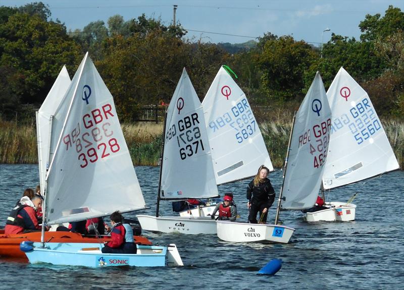 Blackwater Dyer Cup photo copyright Steve Jarrad taken at Blackwater Sailing Club and featuring the Optimist class
