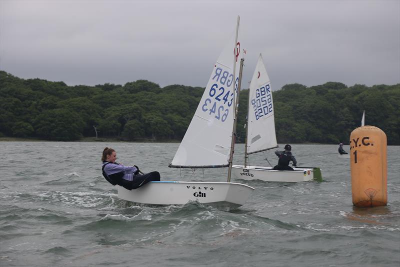 Chichester Optimist Open photo copyright Brian Ayton taken at Chichester Yacht Club and featuring the Optimist class