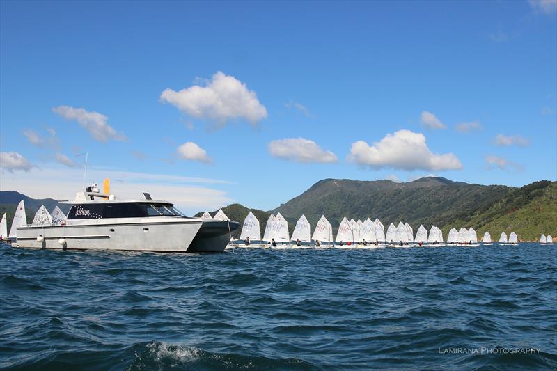 Optimist Pre-Nats at Queen Charlotte Yacht Club, Picton day 1 - photo © Lamirana Photography