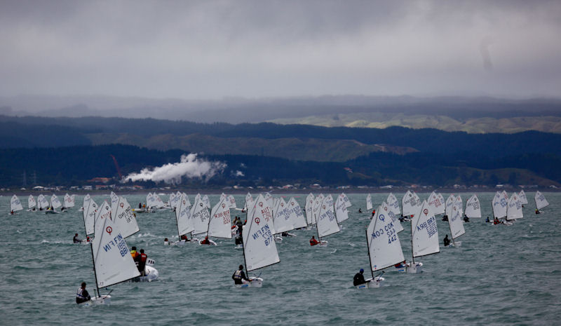 Optimist worlds in New Zealand
