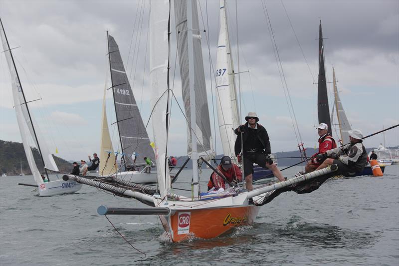 Day 2, CRC Bay of Islands Sailing Week, 2018, January 25, 2018 - photo © (c) Will Calver, oceanphotography.co.nz.