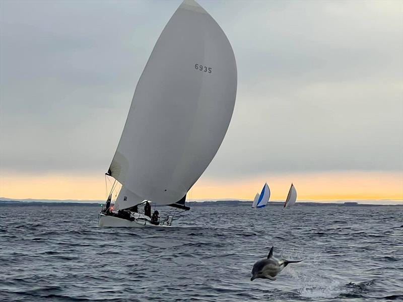 A dolphin paves the path for Archie - Apollo Bay Race 2022 photo copyright Glen Cowan taken at Ocean Racing Club of Victoria and featuring the ORC class