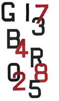 300mm Sail Numbers 