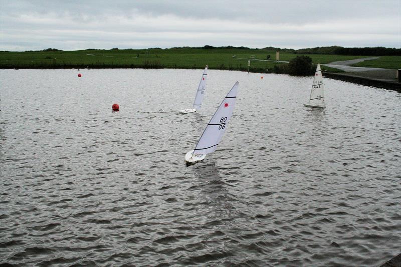 RC Laser Travellers at Ayr Bay photo copyright Dave Fowler taken at  and featuring the RC Laser class