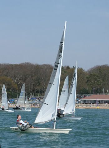 Rooster 8.1's dominate at the Weston Grand Slam
