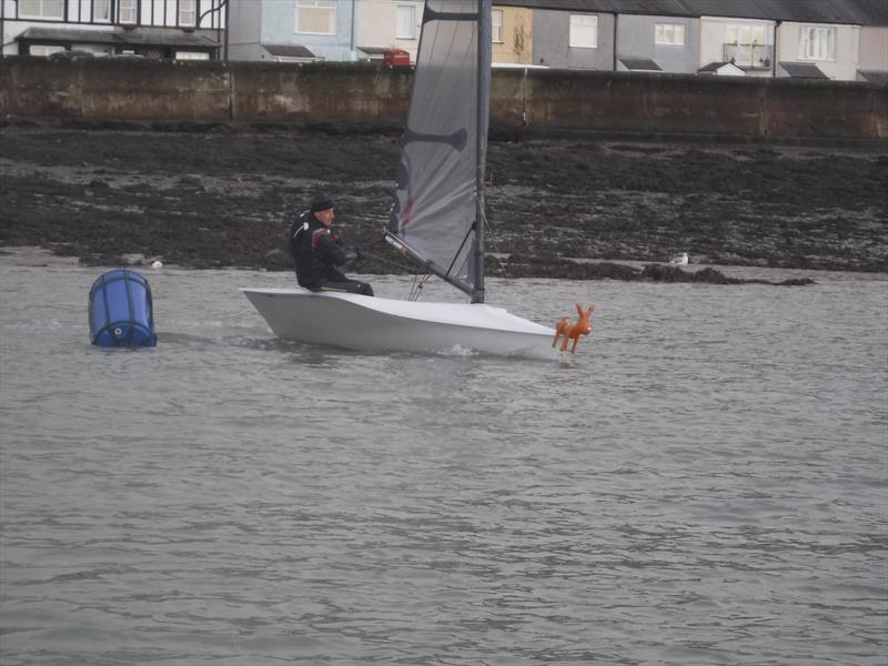 Storky plus Reindeer at the North Wales Christmas Regatta photo copyright Ken Newing taken at Port Dinorwic Sailing Club and featuring the RS300 class
