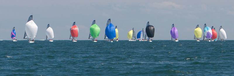RS Elites downwind photo copyright RS Sailing taken at  and featuring the RS Elite class