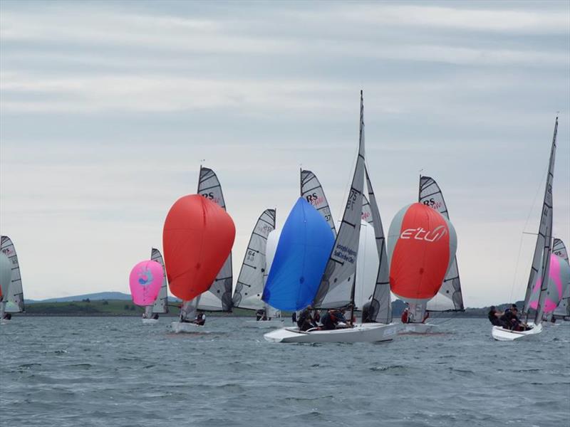 Cardinal Analytics RS Elite UK Championships at Strangford Lough  photo copyright SLYC taken at Strangford Lough Yacht Club and featuring the RS Elite class