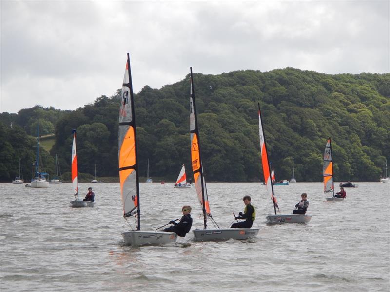 Junior open on the River Dart at Stoke Gabriel Boating Association photo copyright Nicholas James taken at Stoke Gabriel Boating Association  and featuring the RS Tera class