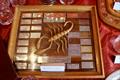 2023 DeWALT Scorpion Nationals at Eastbourne prize giving © Ben / Send It Media