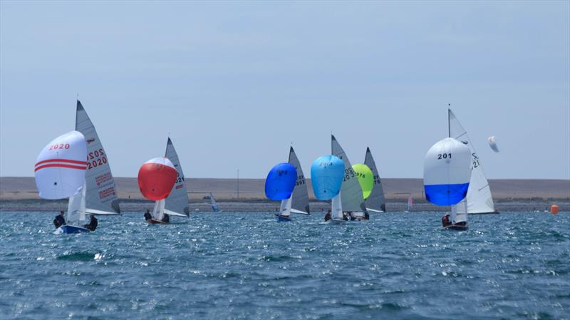 The Gul Scorpion Nationals will be held at Castle Cove Sailing Club from the 29th July - 5th August 2017 photo copyright Richard White taken at Castle Cove Sailing Club and featuring the Scorpion class