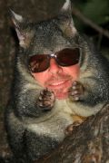 Dave 'possum' Alexander