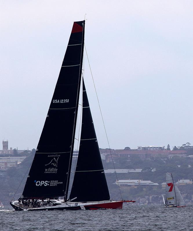 Comanche dwarfs the world champion 18ft Skiff Gotta Love It 7 on Sydney Harbour photo copyright Chris Part taken at Sydney Flying Squadron and featuring the 18ft Skiff class