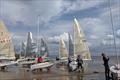 HD Sails Solo class Scottish Championships at St Andrews © Ros King