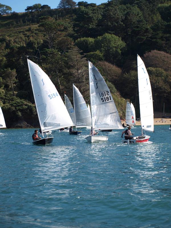 Salcombe Yacht Club Autumn Series Race 4 photo copyright Malcolm Bell taken at Salcombe Yacht Club and featuring the Solo class