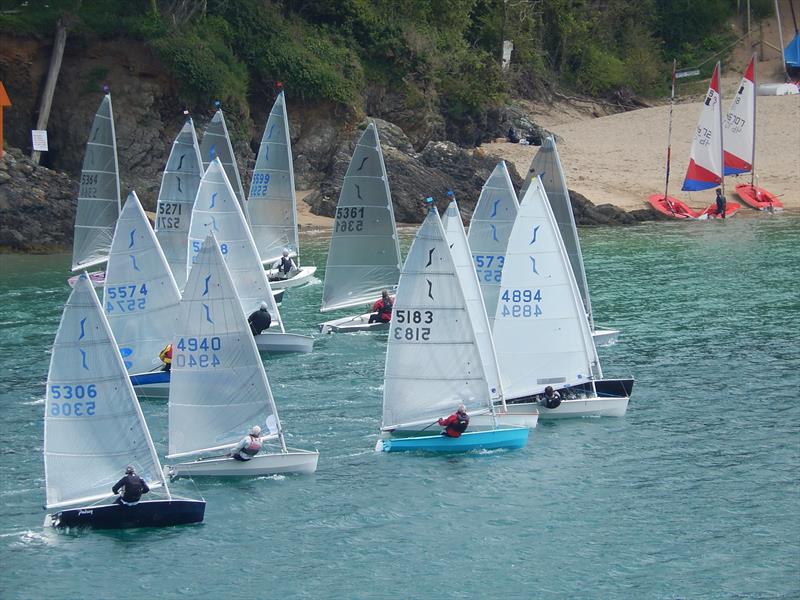 Salcombe Yacht Club Summer Series Race 1 photo copyright Margaret Mackley taken at Salcombe Yacht Club and featuring the Solo class