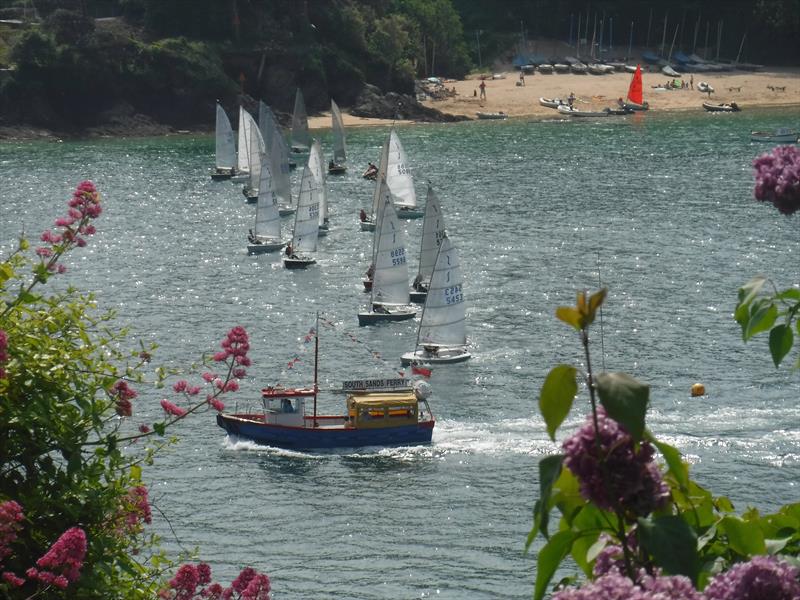 Whitsun Open Meeting at Salcombe 2016 photo copyright Jayne Morris taken at Salcombe Yacht Club and featuring the Solo class